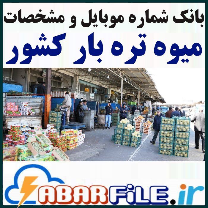 میوه فروشی ها و حجره داران کشور | موبایل و مشخصات