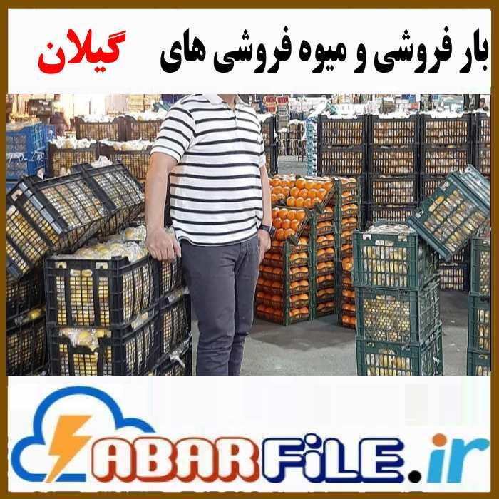 میوه فروشی و بار فروشان گیلان | موبایل و مشخصات