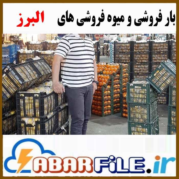 میوه فروشی و بار فروشان البرز | موبایل و مشخصات