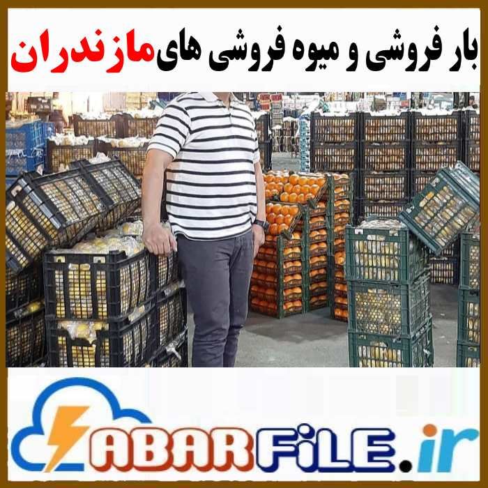 میوه فروشی و بار فروشان مازندران | موبایل و مشخصات