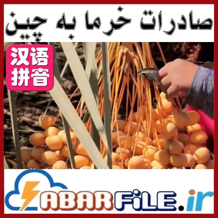 تاجران خرما چینی | صادرات خرما به چین